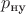 $p_\text{ну}$