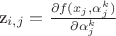 z_{i,j}=\frac {\partial f(x_j, \alpha^k_j)}{\partial \alpha^k_j}$