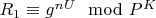 $R_1\equiv g^n^U\mod P^K$