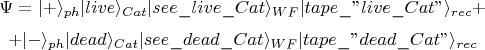 $$\Psi=|+\rangle_{ph}|live\rangle_{Cat}|see\_live\_Cat\rangle_{WF}|tape\_