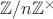 $\mathbb{Z}/n\mathbb{Z}^{\times}$