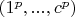 $(1^p,...,c^p)$