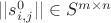 $||s^0_{i,j}|| \in S^{m\times n}$