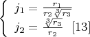 $\left\{
\begin{array}{lcl}
  j_1=\frac{r_1}{r_2\sqrt[3]{r_3}}\\
 j_2=\frac{\sqrt[3]{r_3}}{r_2} \   \    \eqno[13]\\
\end{array}
\right. $
