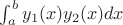 $\int_{a}^{b}y_1(x) y_2(x) dx$