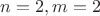 $n=2, m=2$