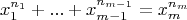 $$x_1^{n_1}+ ... +x_{m-1}^{n_{m-1}}= x_m^{n_m}$$