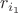 $r_{i_1}$