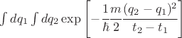 $\int dq_1 \int dq_2 \exp\left[-\cfrac{1}{\hbar} \cfrac{m}{2} \cfrac{(q_2-q_1)^2}{t_2-t_1} \right] $