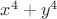 $x^4 + y^4$