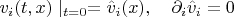 $v_i(t,x)\mid_{t=0}=\hat v_i(x),\quad \partial_i \hat v_i=0$
