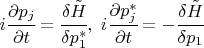 $i\cfrac{\partial p_j}{\partial t}=\cfrac{\delta \tilde{H}}{\delta p_1^*},\,\,i\cfrac{\partial p_j^*}{\partial t}=-\cfrac{\delta \tilde{H}}{\delta p_1}$