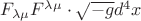 $F_{\lambda\mu} F^{\lambda\mu} \cdot\sqrt{-g}d^4x$