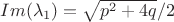$Im(\lambda_1)=\sqrt{p^2+4q}/2$