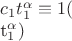 $c_{1}t_{1}^{\alpha}\equiv1(\operarorname{\mod}t_{1}^{\alpha})$