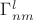 $\Gamma^l_{nm}$ $\Gamma^l_{nm}$
