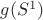 $g(S^1)$