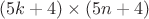 $(5k+4)\times(5n+4)$