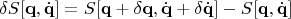$$\delta S[\mathbf{q},\dot{\mathbf{q}}]=S[\mathbf{q}+\delta\mathbf{q},\dot{\mathbf{q}}+\delta\dot{\mathbf{q}}]-S[\mathbf{q},\dot{\mathbf{q}}]$$