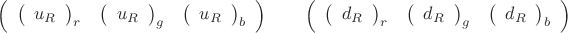 $$\left(\begin{array}{ccc}\left(\begin{array}{c}u_R\end{array}\right)_r&\left(\begin{array}{c}u_R\end{array}\right)_g&\left(\begin{array}{c}u_R\end{array}\right)_b\end{array}\right)\qquad \left(\begin{array}{ccc}\left(\begin{array}{c}d_R\end{array}\right)_r&\left(\begin{array}{c}d_R\end{array}\right)_g&\left(\begin{array}{c}d_R\end{array}\right)_b\end{array}\right)$$