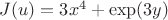 $J(u)=3x^4+\exp(3y)$