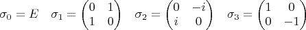 $\begin{matrix}\sigma_0=E & \sigma_1=\begin{pmatrix}0&1\\1&0 \end{pmatrix} & \sigma_2=\begin{pmatrix}0&-i\\i&0\end{pmatrix} & \sigma_3=\begin{pmatrix}1 & 0\\0 &-1\end{pmatrix} \end{matrix}$