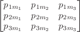 $$\begin{bmatrix}
 p_{1m_1} & p_{1m_2} & p_{1m_3} \\
 p_{2m_1} & p_{2m_2} & p_{2m_3} \\
 p_{3m_1} & p_{3m_2} & p_{3m_3}
\end{bmatrix}$$