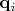 $\mathbf{q}_i$