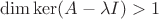 $\dim \ker(A - \lambda I) > 1$