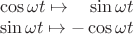 $\begin{array}{l}\cos\omega t\mapsto \phantom{+}\sin\omega t\\\sin\omega t\mapsto -\cos\omega t\end{array}$