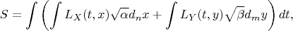 $$
S = \int \left( \int L_X (t, x) \sqrt{\alpha} d_n x + \int L_Y (t, y) \sqrt{\beta} d_m y  \right) dt,
$$