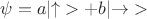 $\ket{\psi} = a |{\uparrow}> + b |{\rightarrow}>$ $\ket{\psi} = a |{\uparrow}> + b |{\rightarrow}>$