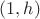 $(1,h)$