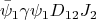$$
\bar{\psi}_1\gamma\psi_1 D_{12} J_2
$$