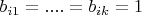 $b_{i1}=....=b_{ik}=1$