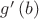 $g'\left(b\right)$