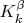 $K_k^{\beta}$