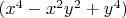 $(x^4-x^2y^2+y^4)$