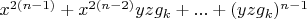$x^{2 (n-1)}+x^{2 (n-2)} y z g_k+...+(y z g_k)^{n-1}$