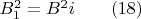 $B_1^2=B^2i \qquad (18)$