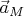 $\vec {a}_M$