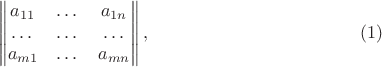 $$\begin{Vmatrix} a_{11} & \dots & a_{1n} \\ \dots & \dots & \dots \\ a_{m1} & \dots & a_{mn} \end{Vmatrix},\eqno{(1)}$$
