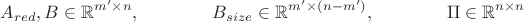 $$A_{red},B\in\mathbb{R}^{m'\times n},\qquad\qquad B_{size}\in\mathbb{R}^{m'\times(n-m')},\qquad\qquad\Pi\in\mathbb{R}^{n\times n}$$