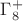 $\Gamma_{8}^{+}$