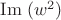 $\mathrm{Im}\;(w^2)$