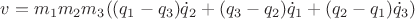 $v=m_1{m_2}{m_3}((q_1-q_3)\dot {q}_2+(q_3-q_2)\dot {q}_1+(q_2-q_1)\dot {q}_3)$