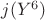 $j(Y^6)$