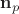 $\mathbf n_p$