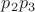 $p_2 p_3$