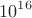 $$ 10^{16}$$